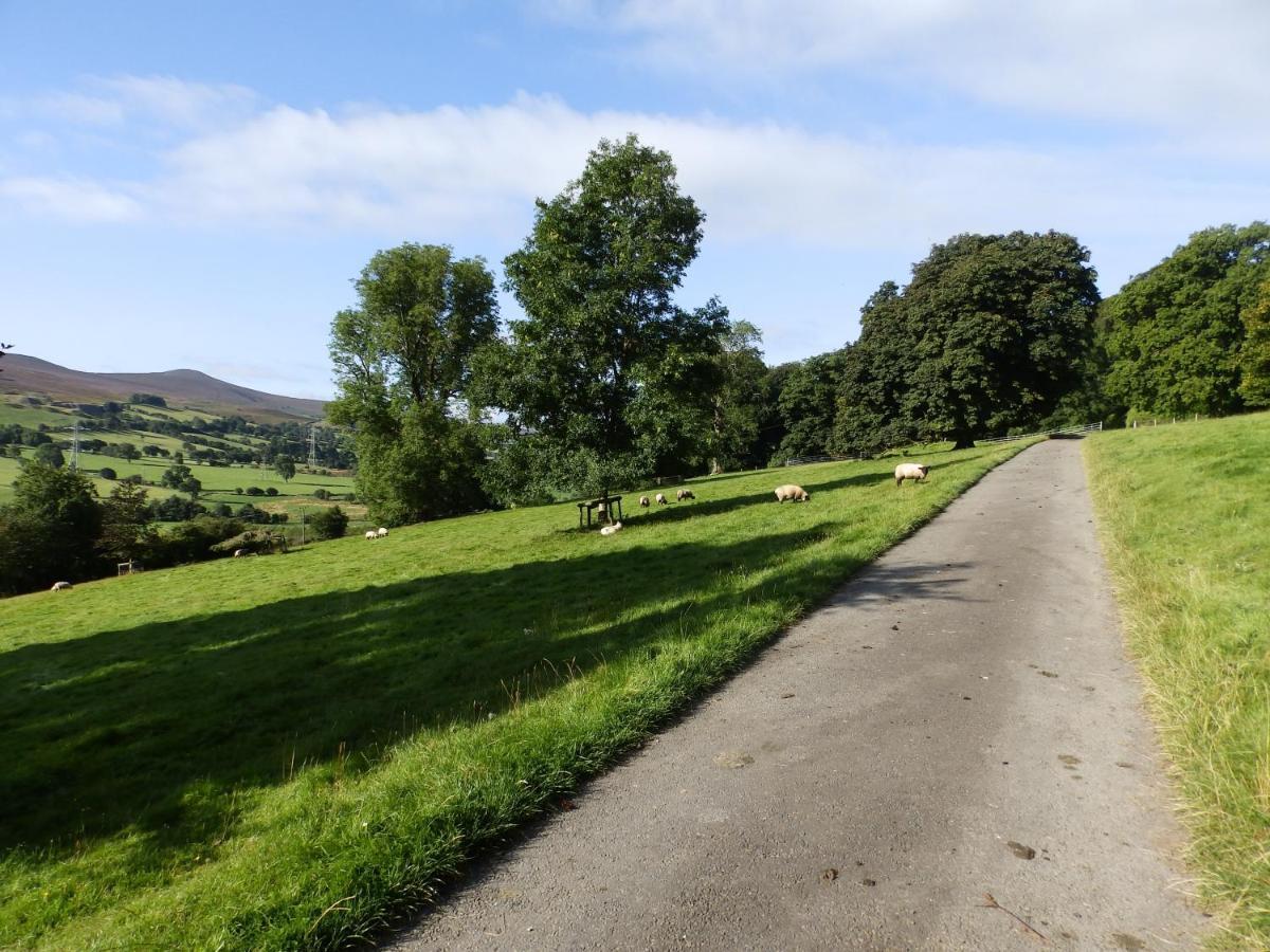 Plas Yn Yale With Mountain Views From All Windows Wrexham Bagian luar foto